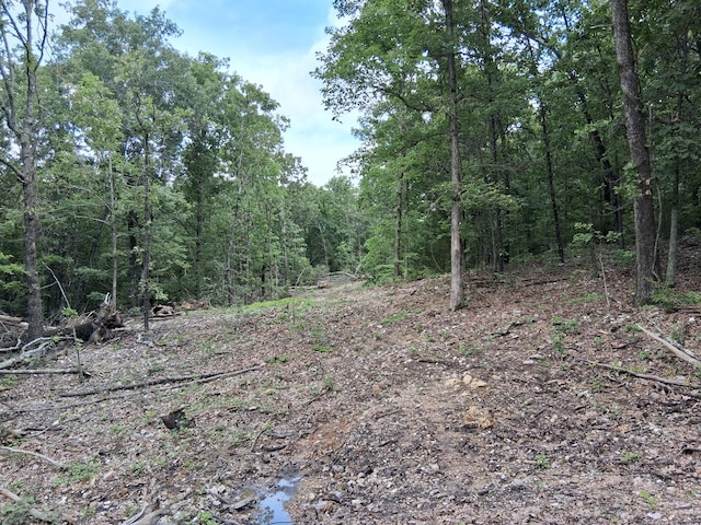 Tbd County Road 350, Dora, MO 65637 - photo 1