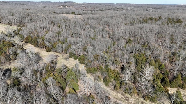 TRACT5 38th Hwy, Hartville, MO 65667 - photo 1
