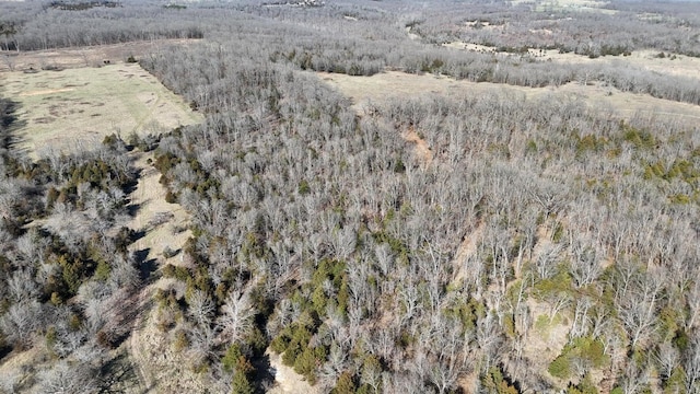 TRACT5 38th Hwy, Hartville, MO 65667 - photo 5