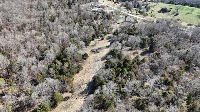 TRACT5 38th Hwy, Hartville, MO 65667 - photo 4
