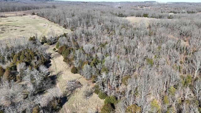 TRACT5 38th Hwy, Hartville, MO 65667 - photo 3