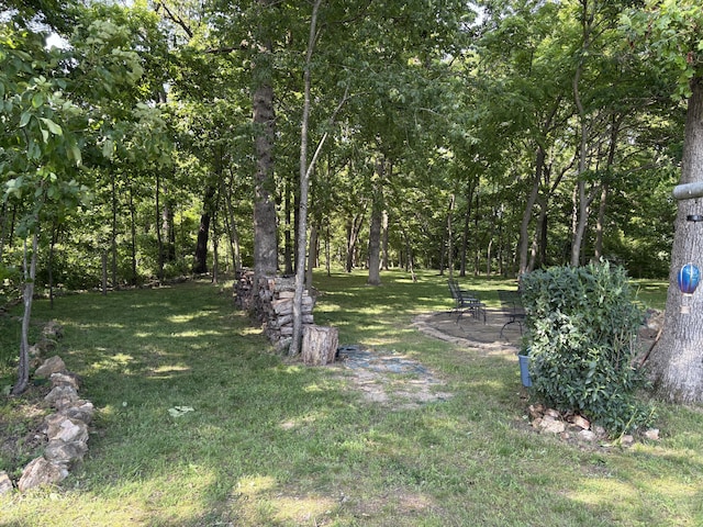 4849 W Rose Hill Rd, Billings, MO 65610 - view of grassy yard