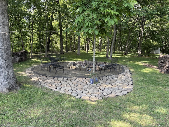 4849 W Rose Hill Rd, Billings, MO 65610 - view of green lawn with a patio area
