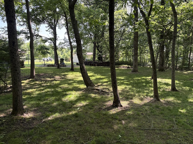 4849 W Rose Hill Rd, Billings, MO 65610 - view of green lawn