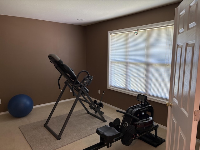 4849 W Rose Hill Rd, Billings, MO 65610 - exercise area featuring baseboards and light colored carpet
