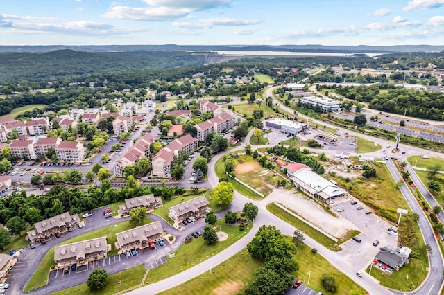 1 Memory Ln Unit 1, Branson, MO 65616 - aerial overview of property's location