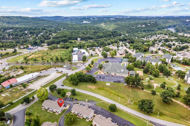 1 Memory Ln Unit 1, Branson, MO 65616 - aerial view of property's location