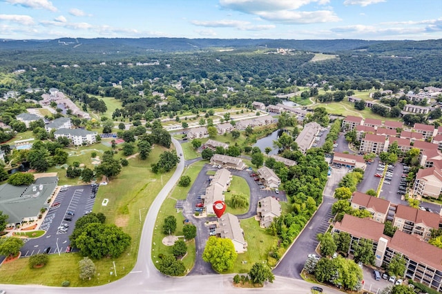 1 Memory Ln Unit 1, Branson, MO 65616 - bird's eye view