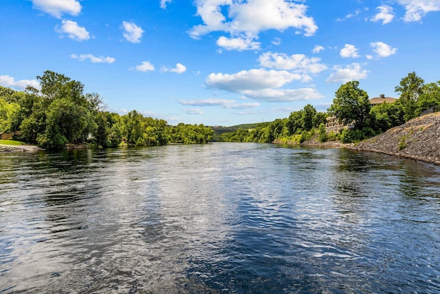 1 Memory Ln Unit 1, Branson, MO 65616 - water view with a heavily wooded area