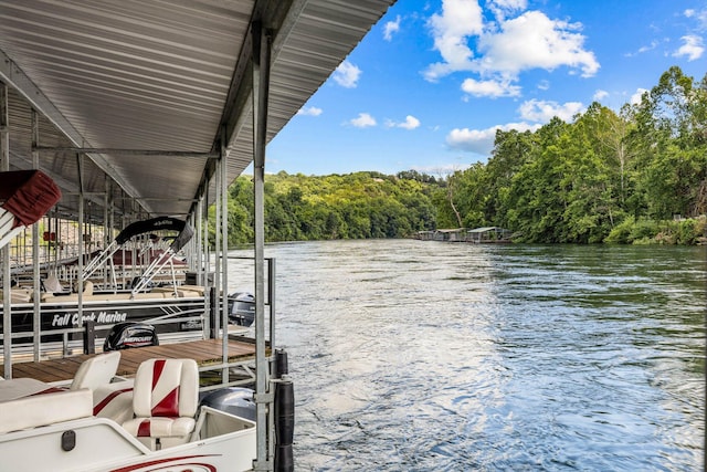 1 Memory Ln Unit 1, Branson, MO 65616 - dock area with a water view and a forest view