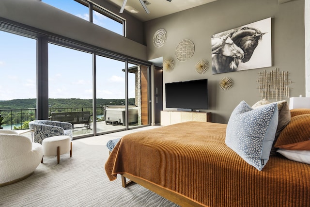 355 Catalina Dr, Branson, MO 65616 - carpeted bedroom with access to exterior