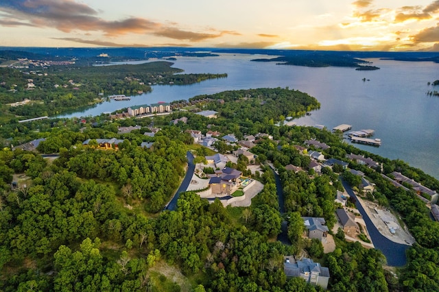 355 Catalina Dr, Branson, MO 65616 - aerial view of residential area with a large body of water