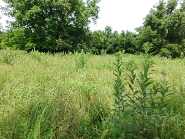 20637 County Road 189, Wheatland, MO 65779 - photo 25