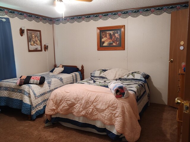 20637 County Road 189, Wheatland, MO 65779 - photo 14