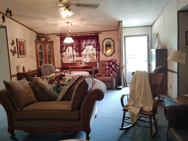 20637 County Road 189, Wheatland, MO 65779 - photo 23