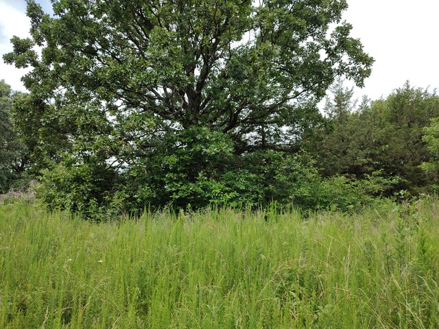 20637 County Road 189, Wheatland, MO 65779 - photo 28
