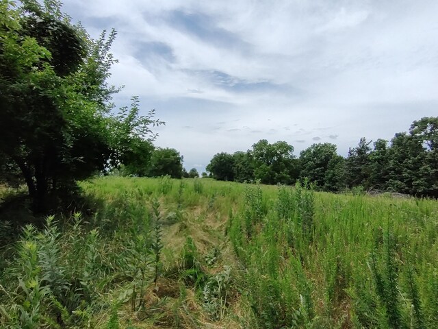 20637 County Road 189, Wheatland, MO 65779 - photo 26
