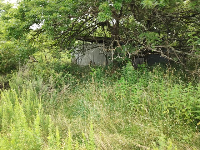 20637 County Road 189, Wheatland, MO 65779 - photo 31