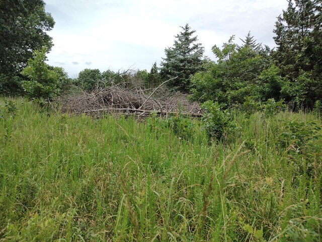 20637 County Road 189, Wheatland, MO 65779 - photo 27
