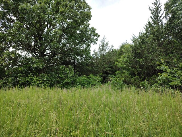 20637 County Road 189, Wheatland, MO 65779 - photo 29