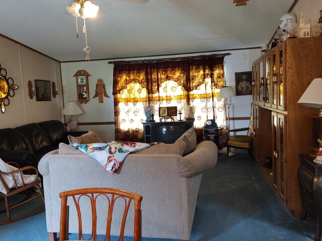 20637 County Road 189, Wheatland, MO 65779 - photo 8