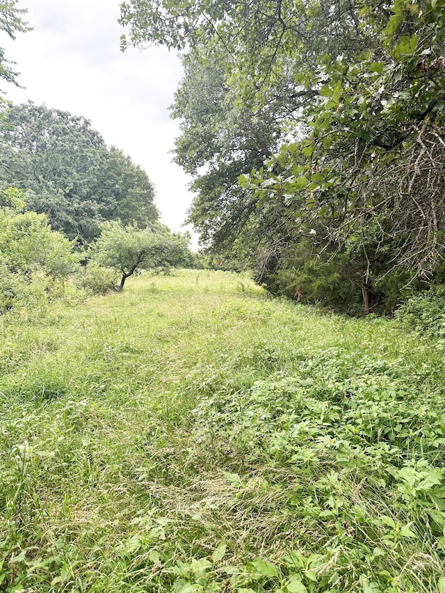 73 Gamble Rd, Billings, MO 65610