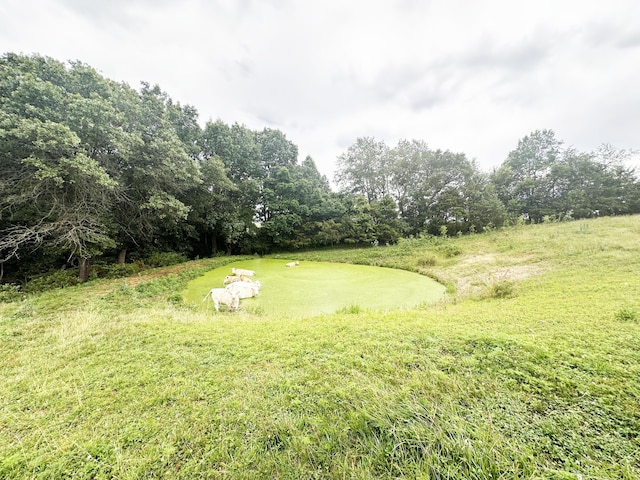 73 Gamble Rd, Billings, MO 65610