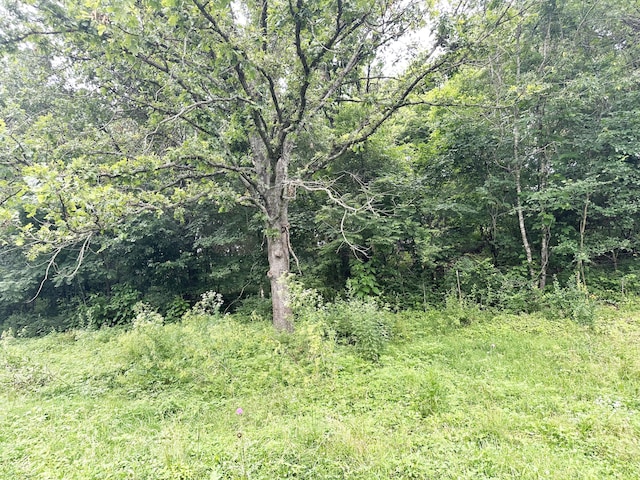 73 Gamble Rd, Billings, MO 65610