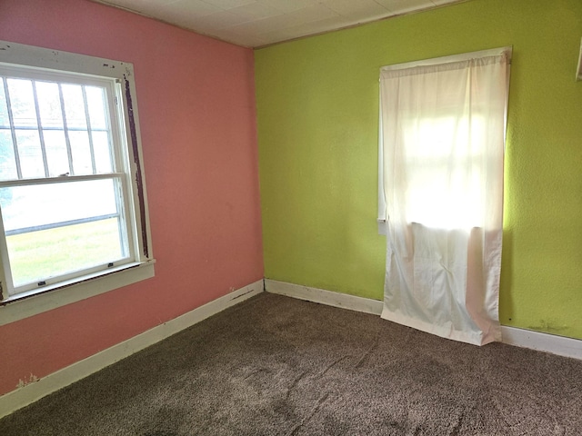 306 S Locust St, Buffalo, MO 65622 - unfurnished room featuring plenty of natural light and carpet flooring