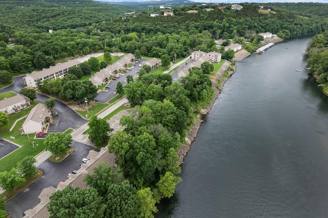 540 Abby Ln Unit 6, Branson, MO 65616 - aerial view of a heavily wooded area and a nearby body of water