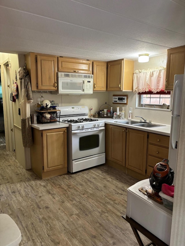 462 Jellystone Ave, Hollister, MO 65672 - photo 6