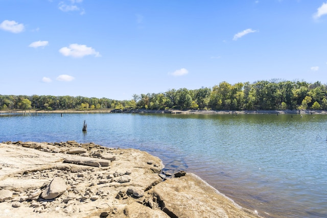19899 E 1820th Rd, Fair Play, MO 65649 - water view