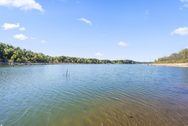 19899 E 1820th Rd, Fair Play, MO 65649 - water view