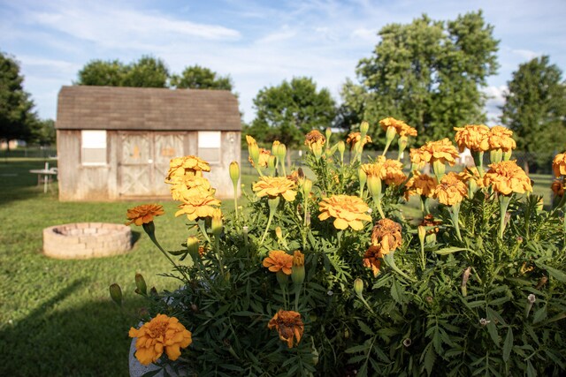 4866 S 155th Rd, Bolivar, MO 65613 - photo 28