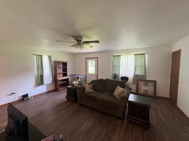 117 E Springfield St, Aurora, MO 65605 - living area featuring wood finished floors, ceiling fan, and a wood stove