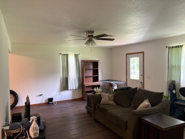 117 E Springfield St, Aurora, MO 65605 - living room with wood finished floors and a ceiling fan