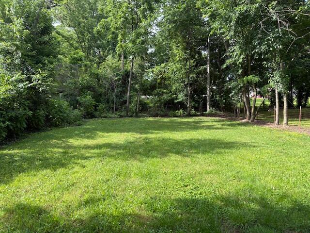 117 E Springfield St, Aurora, MO 65605 - view of grassy yard featuring a wooded view