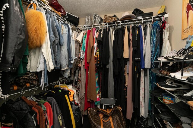 3223 W Melbourne St, Springfield, MO 65810 - view of walk in closet