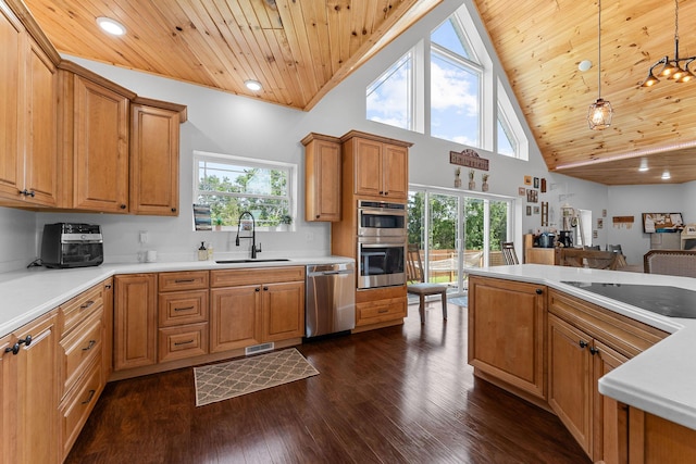 770 Mills Hollow Rd, Branson, MO 65616 - kitchen with appliances with stainless steel finishes, wood ceiling, dark wood-style floors, healthy amount of natural light, and light countertops