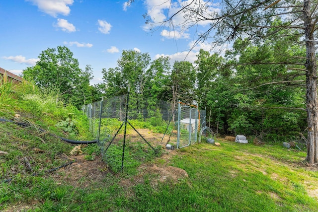 770 Mills Hollow Rd, Branson, MO 65616 - view of yard