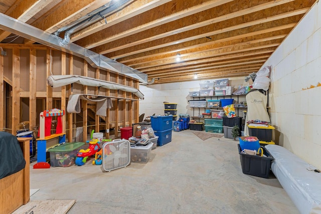 770 Mills Hollow Rd, Branson, MO 65616 - unfinished basement with concrete block wall