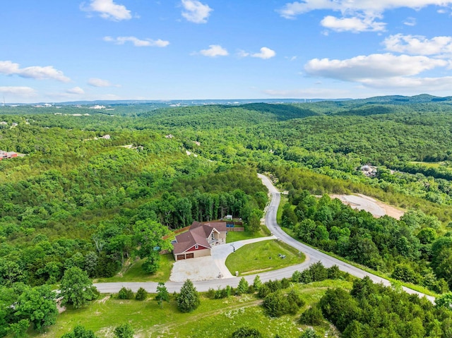 770 Mills Hollow Rd, Branson, MO 65616 - aerial view of a heavily wooded area