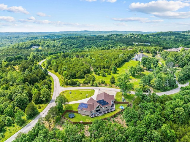 770 Mills Hollow Rd, Branson, MO 65616 - aerial view of a heavily wooded area