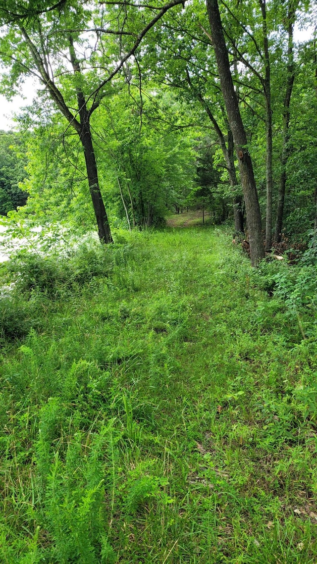 420 Lake Valley Dr, Seymour, MO 65746 - photo 11