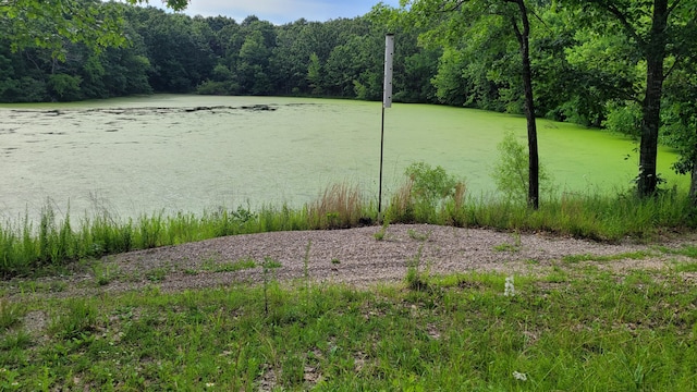 420 Lake Valley Dr, Seymour, MO 65746 - photo 5