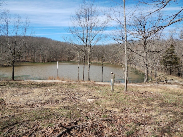 420 Lake Valley Dr, Seymour, MO 65746 - photo 3