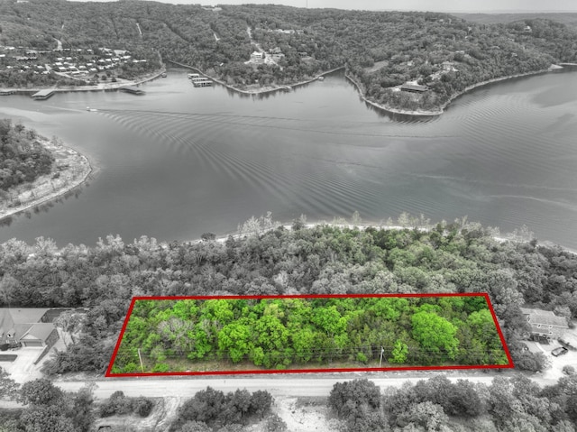 TBD Oakwood Dr, Ridgedale, MO 65739 - photo 2