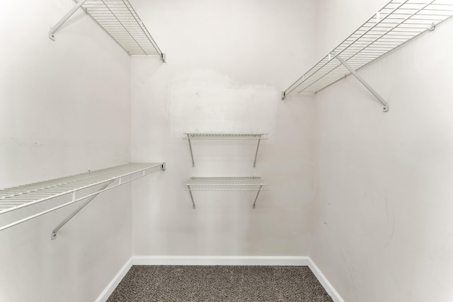 280 W Woodland Dr Unit Ld, Branson, MO 65616 - view of walk in closet