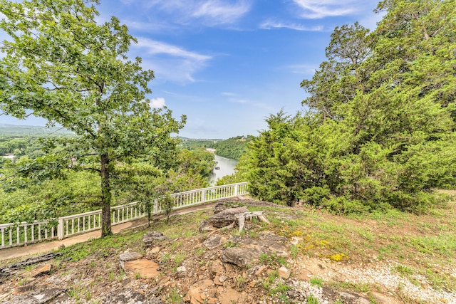280 W Woodland Dr Unit Ld, Branson, MO 65616 - view of yard