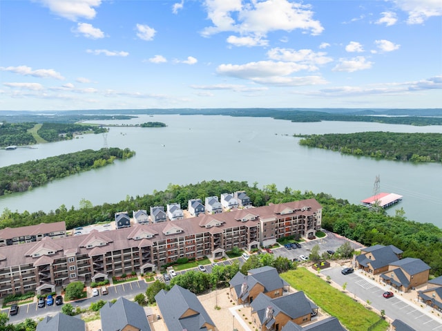 200 Majestic Dr Unit 1-303, Branson, MO 65616 - bird's eye view of a nearby body of water